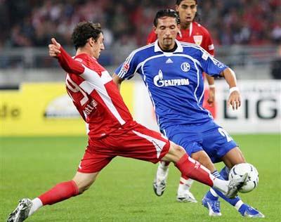 与专业的理 与专业的理